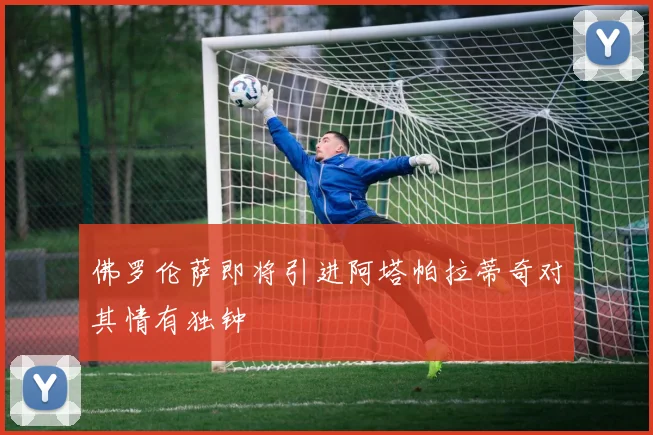 佛罗伦萨即将引进阿塔帕拉蒂奇对其情有独钟