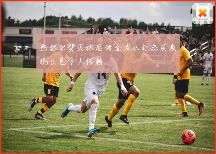图赫尔赞贝林厄姆全力以赴态度表现出色令人信赖